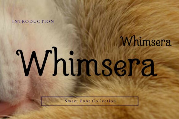 Whimsera: A Playful Font for Creative Projects